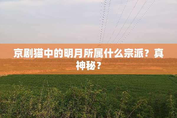 京剧猫中的明月所属什么宗派？真神秘？