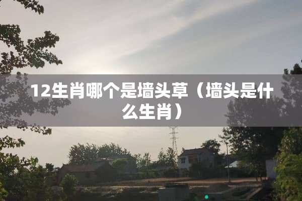 12生肖哪个是墙头草（墙头是什么生肖）