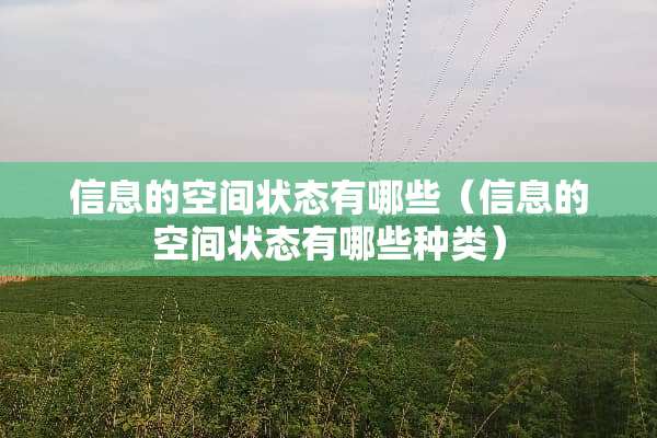 信息的空间状态有哪些（信息的空间状态有哪些种类）