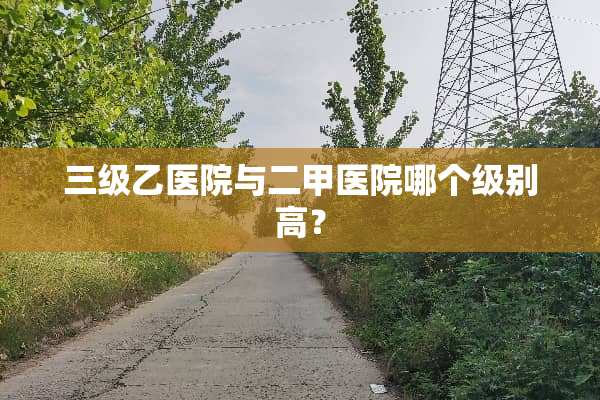 **乙医院与二甲医院哪个级别高？