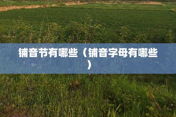 铺音节有哪些（铺音字母有哪些）