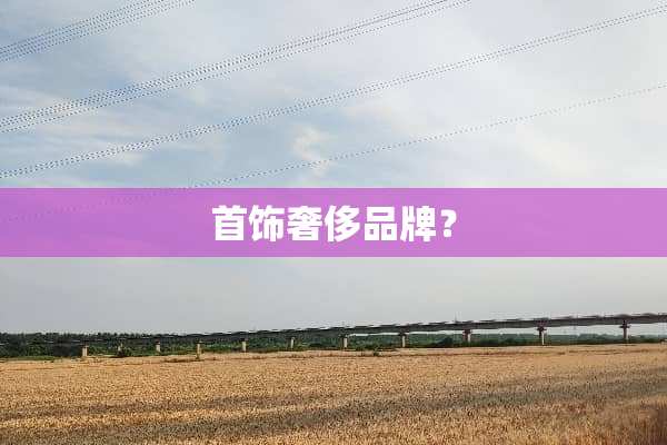 首饰奢侈品牌？