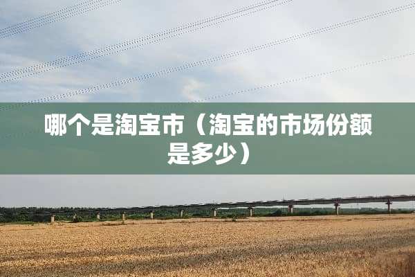 哪个是淘宝市（淘宝的市场份额是多少）
