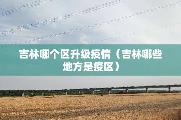 吉林哪个区升级疫情（吉林哪些地方是疫区）