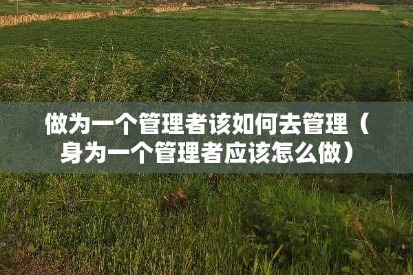 做为一个管理者该如何去管理（身为一个管理者应该怎么做）