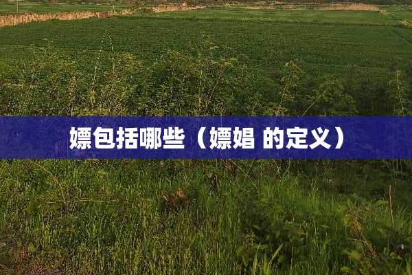 *包括哪些（*娼 的定义）
