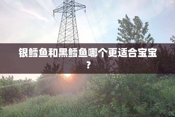 银鳕鱼和黑鳕鱼哪个更适合宝宝？