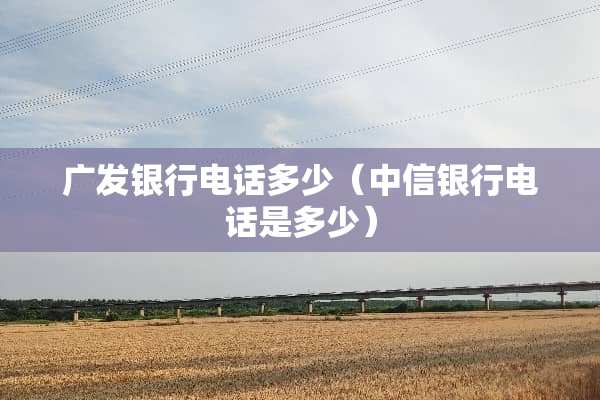 广发银行电话多少（中信银行电话是多少）