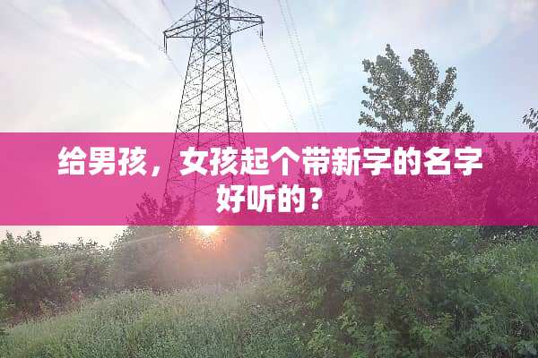 给男孩，女孩起个带新字的名字好听的？