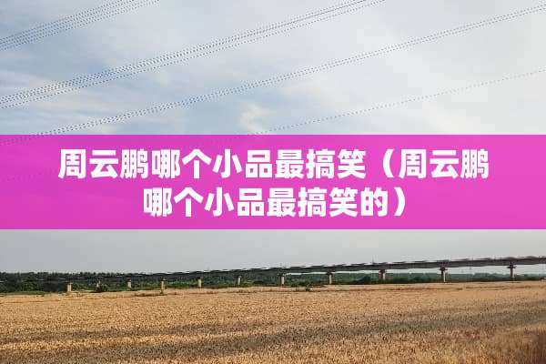 周云鹏哪个小品最搞笑（周云鹏哪个小品最搞笑的）