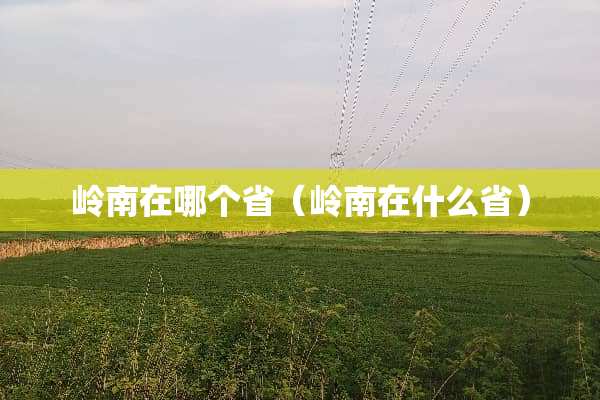 岭南在哪个省（岭南在什么省）