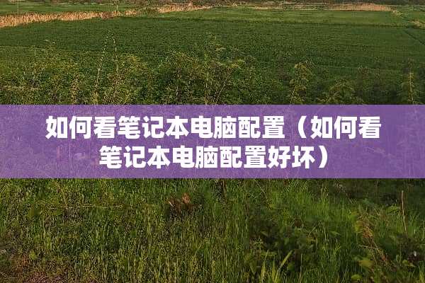 如何看笔记本电脑配置（如何看笔记本电脑配置好坏）