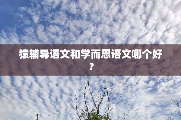 猿辅导语文和学而思语文哪个好？