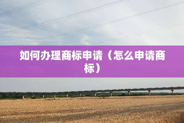 如何办理商标申请（怎么申请商标）