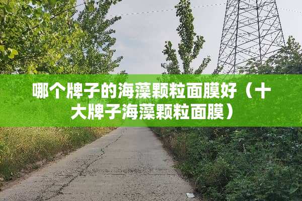 哪个牌子的海藻颗粒面膜好（十大牌子海藻颗粒面膜）
