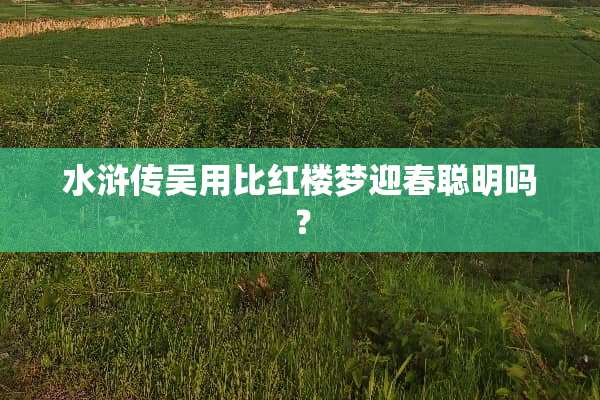 水浒传吴用比红楼梦迎春聪明吗？