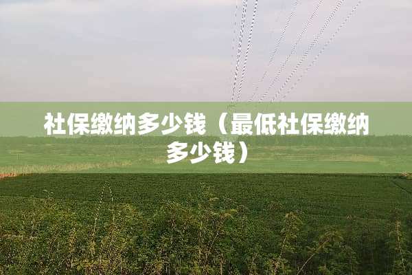 社保缴纳多少钱（最低社保缴纳多少钱）