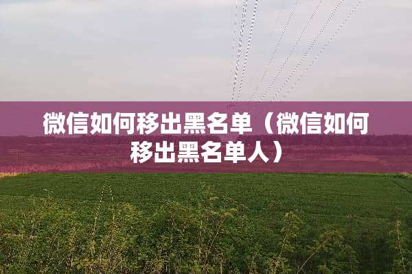 微信如何移出黑名单（微信如何移出黑名单人）