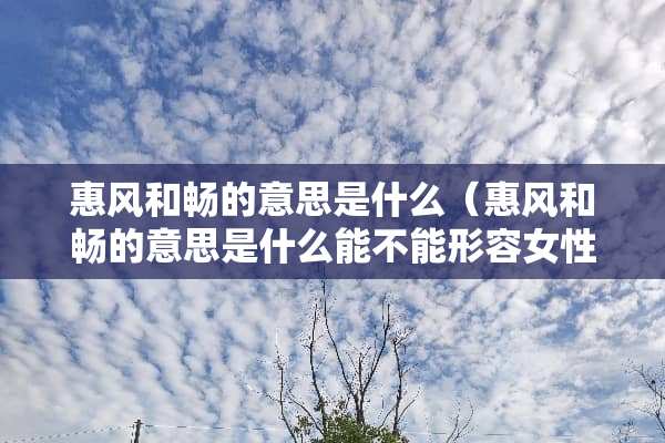 惠风和畅的意思是什么（惠风和畅的意思是什么能不能形容女性）