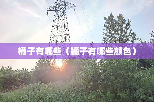 橘子有哪些（橘子有哪些颜色）
