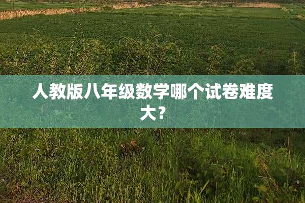 人教版八年级数学哪个试卷难度大？
