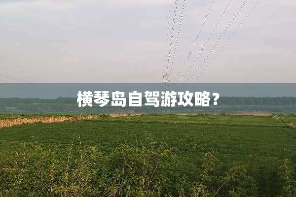 横琴岛自驾游攻略？