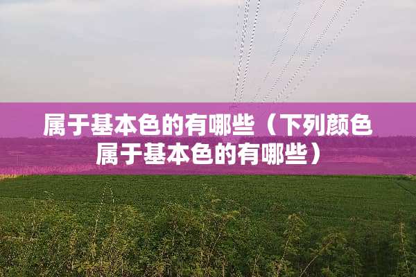 属于基**的有哪些（下列颜色属于基**的有哪些）