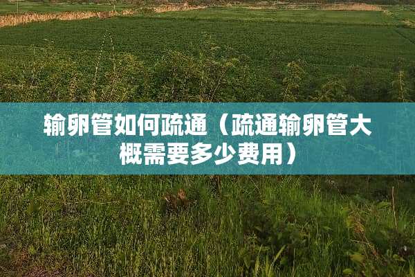 输卵管如何疏通（疏通输卵管大概需要多少费用）