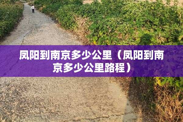 凤阳到南京多少公里（凤阳到南京多少公里路程）
