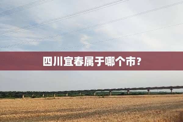 四川宜春属于哪个市？