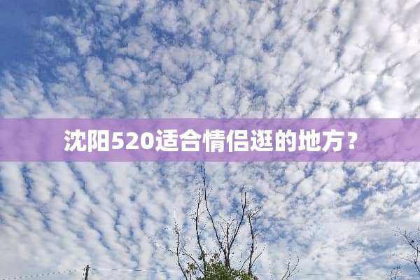 沈阳520适合情侣逛的地方？
