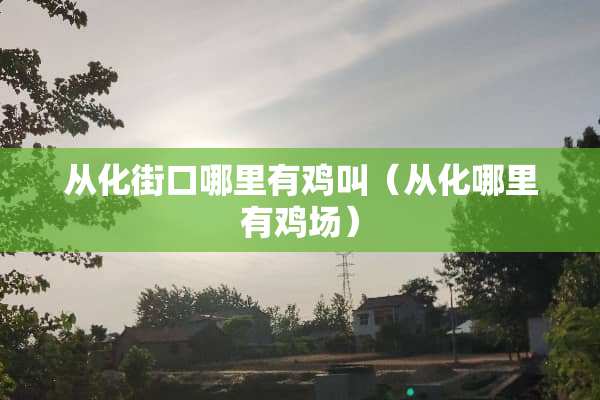 从化街口哪里有鸡叫（从化哪里有鸡场）