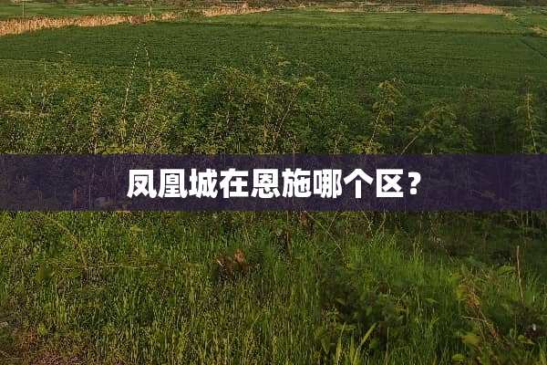 凤凰城在恩施哪个区？