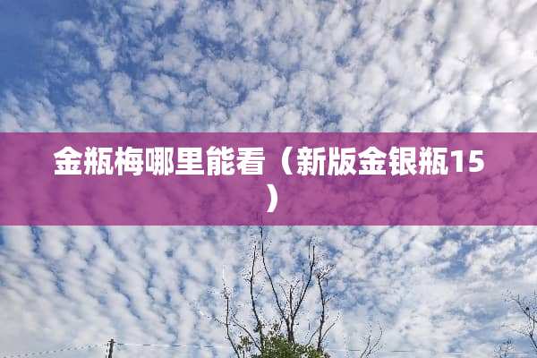 金瓶梅哪里能看（新版金银瓶15）