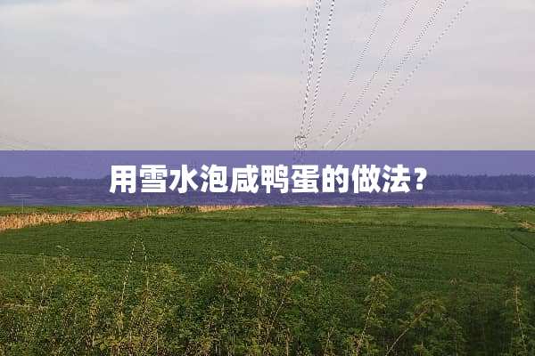用雪水泡咸鸭蛋的做法？