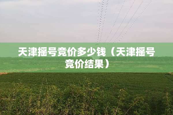 天津摇号竞价多少钱（天津摇号竞价结果）