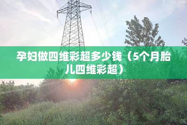 孕妇做四维彩超多少钱（5个月胎儿四维彩超）
