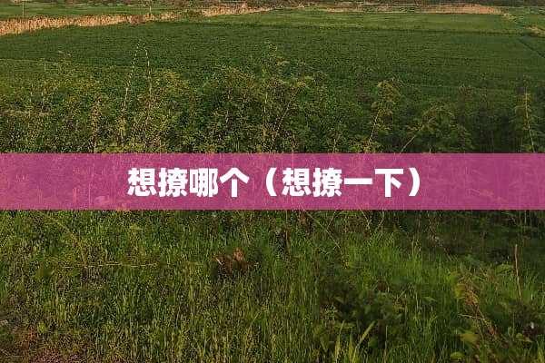 想撩哪个（想撩一下）