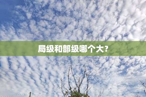 局级和部级哪个大？