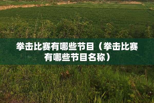 拳击比赛有哪些节目（拳击比赛有哪些节目名称）