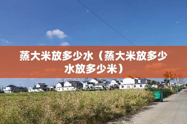 蒸大米放多少水（蒸大米放多少水放多少米）