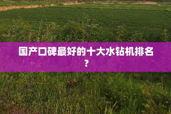 国产口碑最好的十大水钻机排名？