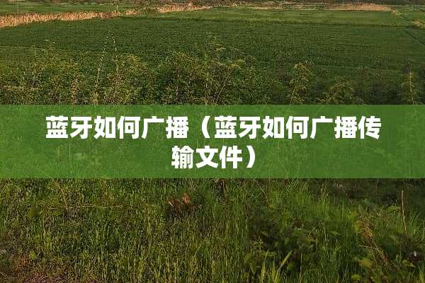 蓝牙如何广播（蓝牙如何广播传输文件）