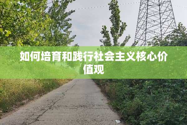 如何培育和践行社会**核心价值观