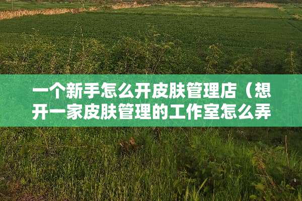 一个新手怎么开皮肤管理店（想开一家皮肤管理的工作室怎么弄）