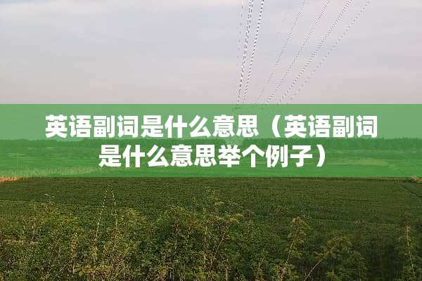 英语副词是什么意思（英语副词是什么意思举个例子）
