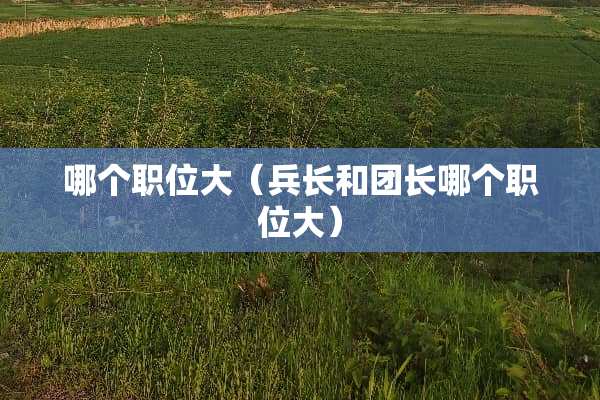 哪个职位大（兵长和团长哪个职位大）