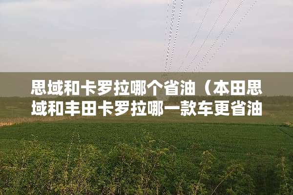 思域和卡罗拉哪个省油（本田思域和丰田卡罗拉哪一款车更省油）