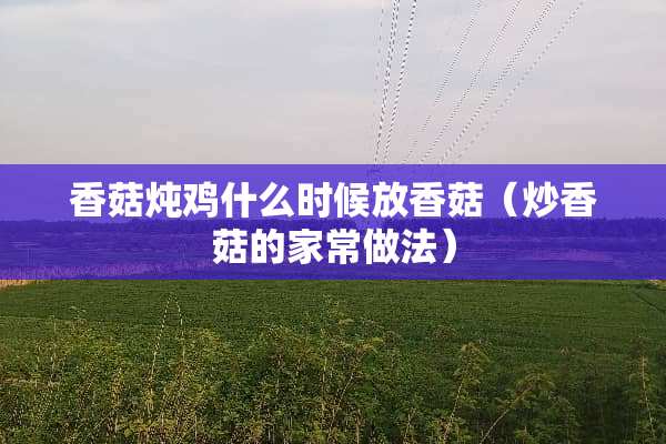 香菇炖鸡什么时候放香菇（炒香菇的家常做法）