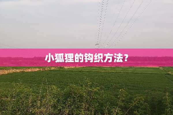 小狐狸的钩织方法？